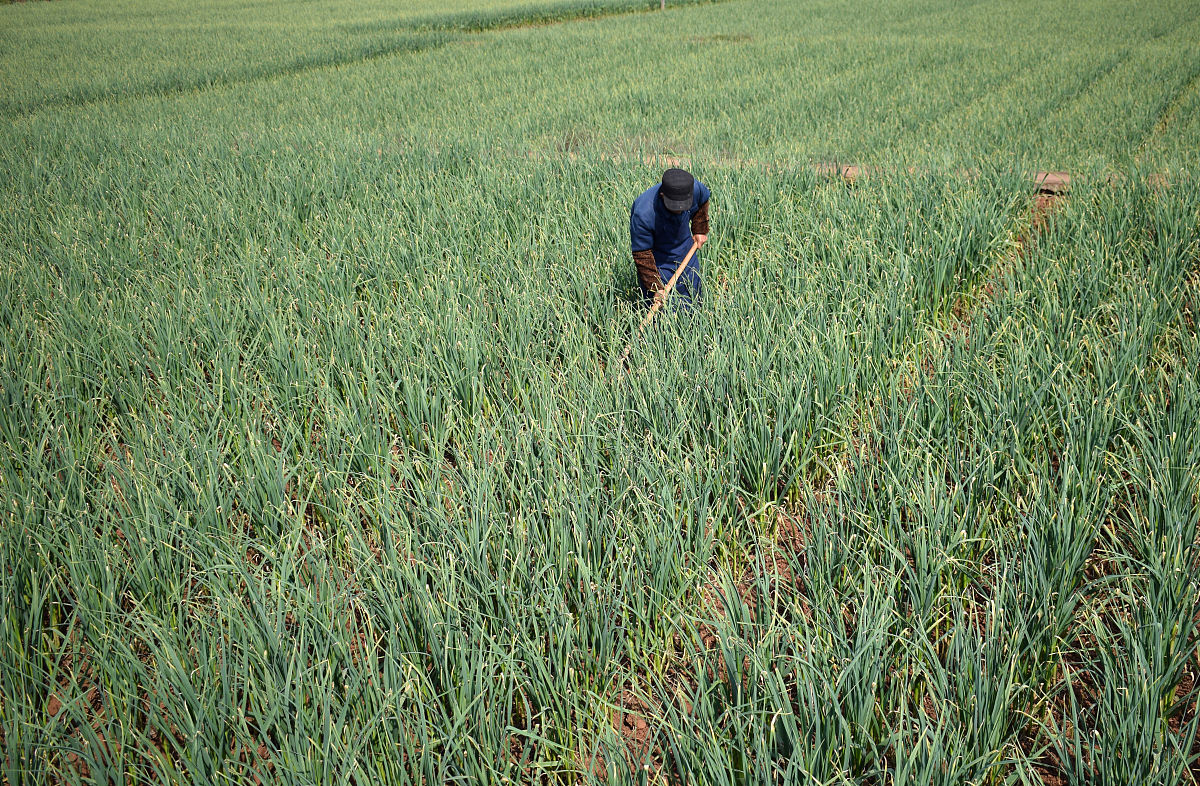 四川省内江医科学校2019年招生计划 - 临床医学|医学影像学|护理学