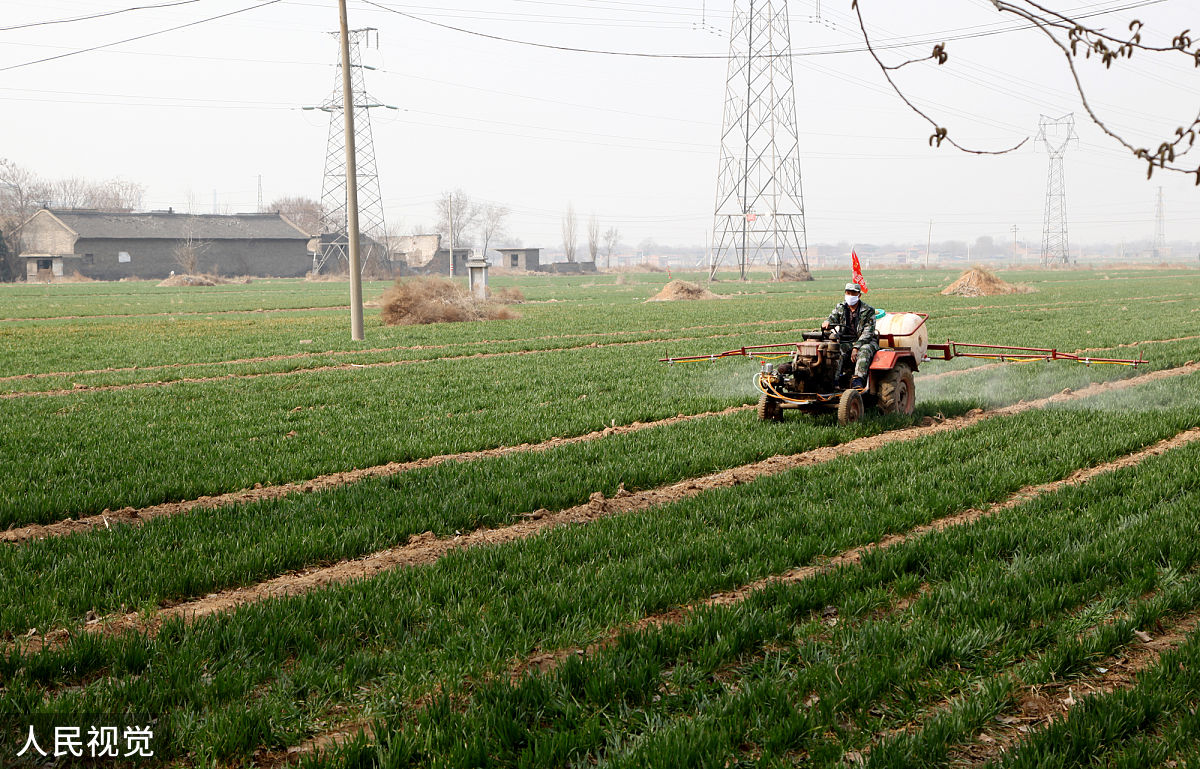 黑龙江农垦机械化学校中草药种植技术专业介绍 | 培养高素质中草药人才