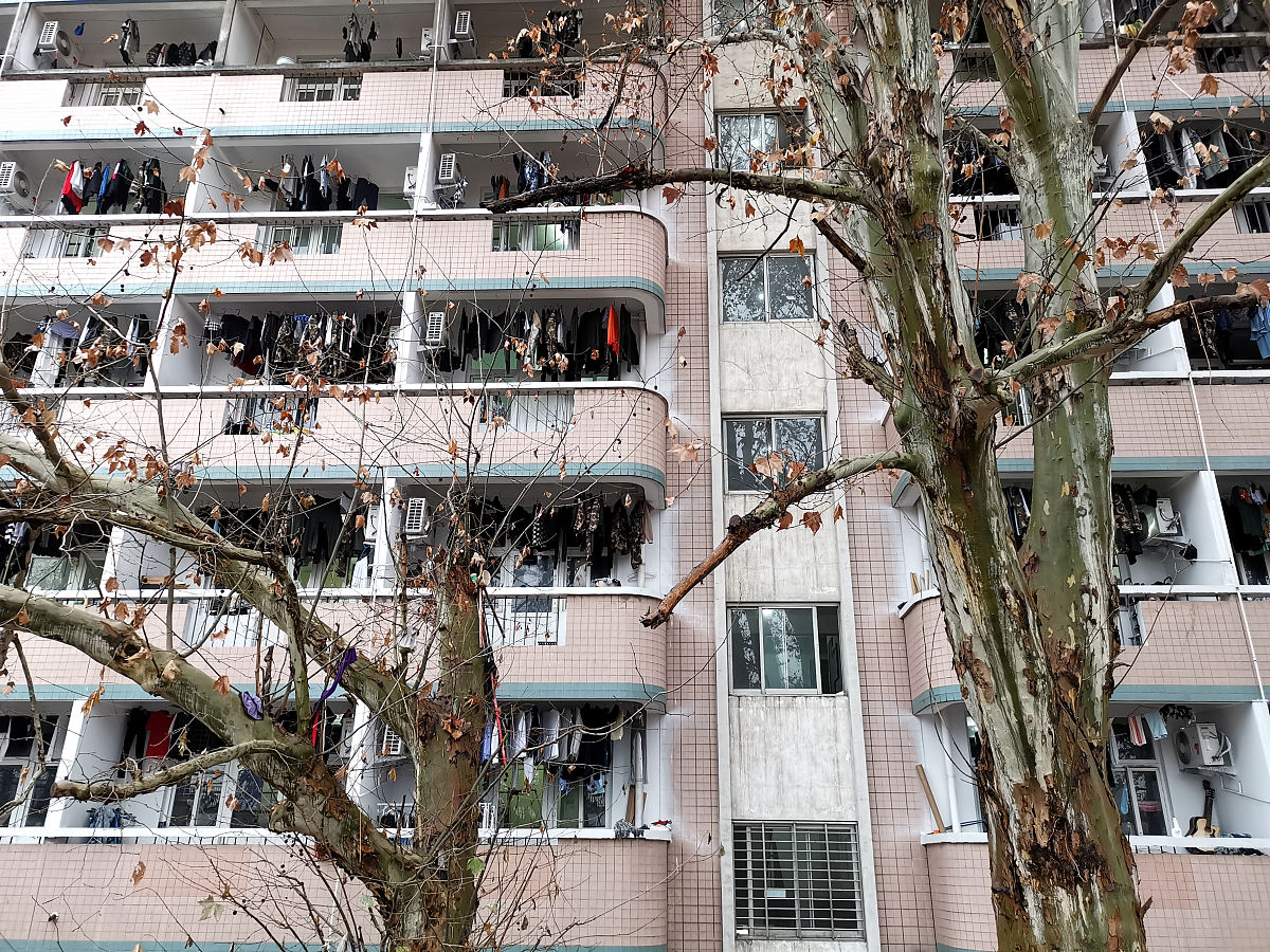 渤海船舶职业学院软件技术专业就业前景如何