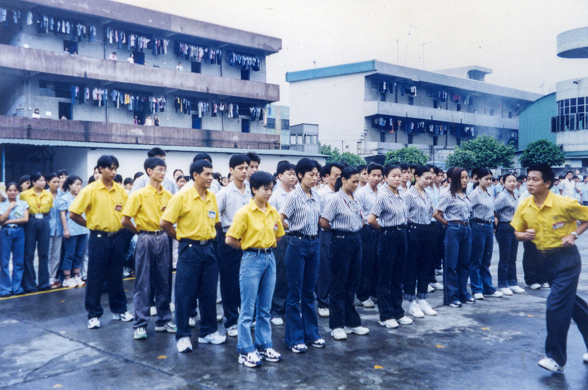 志愿服务心得体会PPT模板：20页+，提升演讲效果