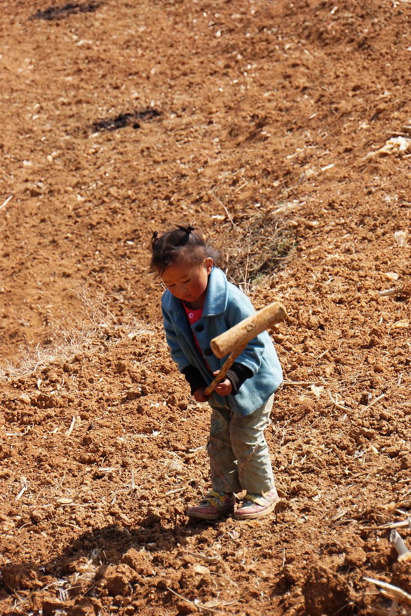 贵州城市职业学院城镇规划专业怎么样？_城镇规划专业就业前景分析