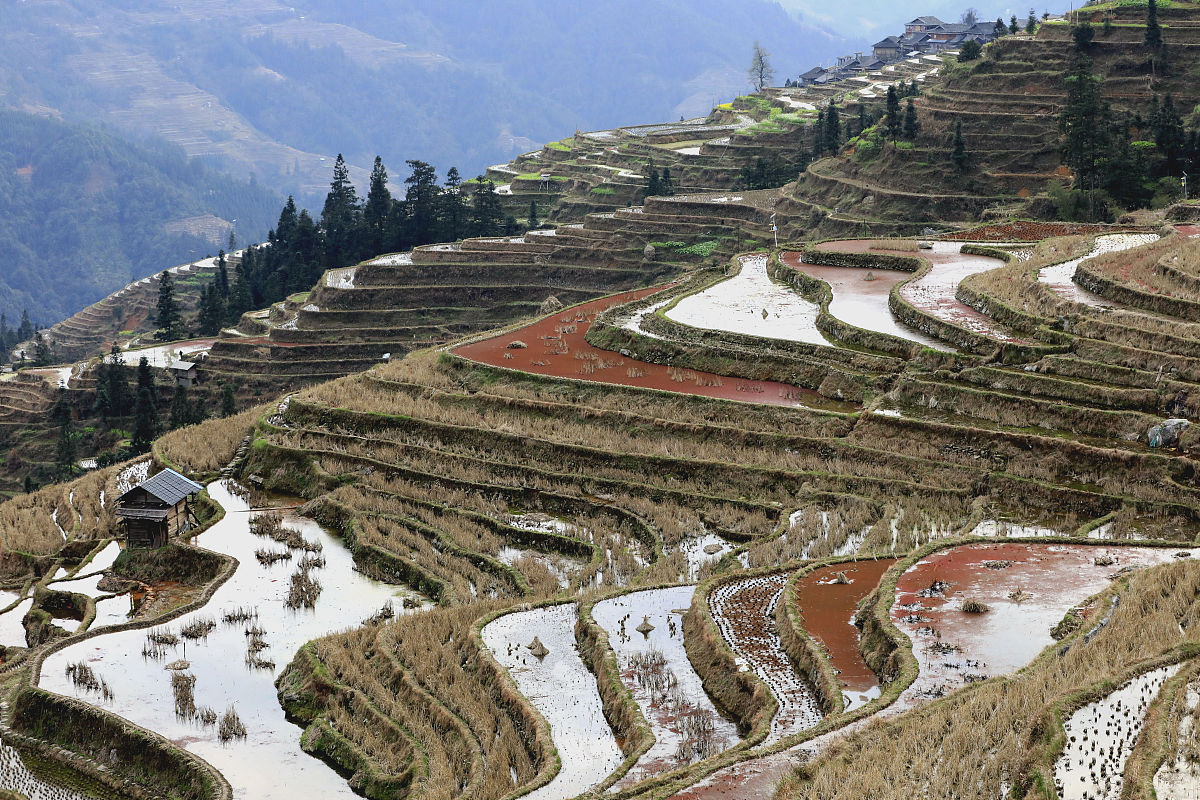 贵州最好的护理专业大学排名：哪所大学更适合你？