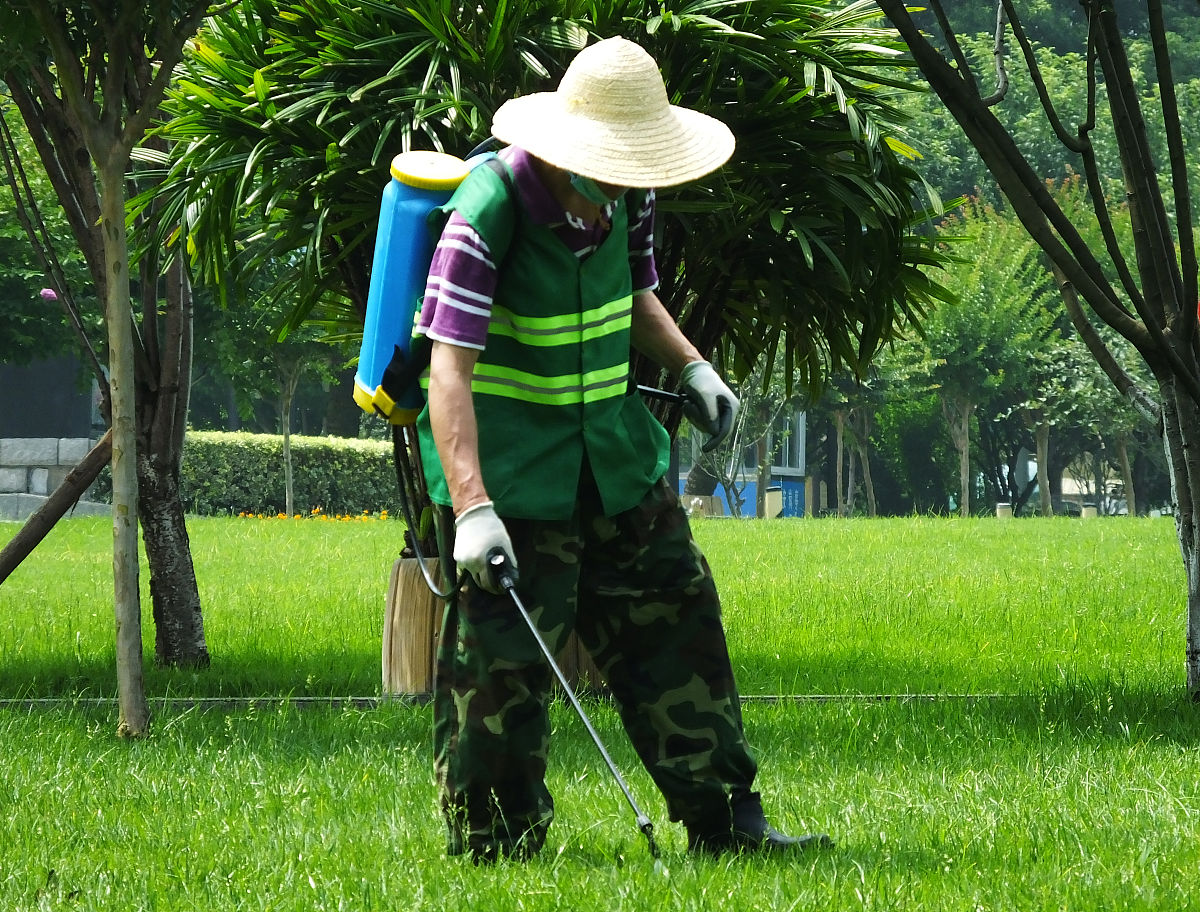 AerWay 草坪护理：修剪、清理、健康养护