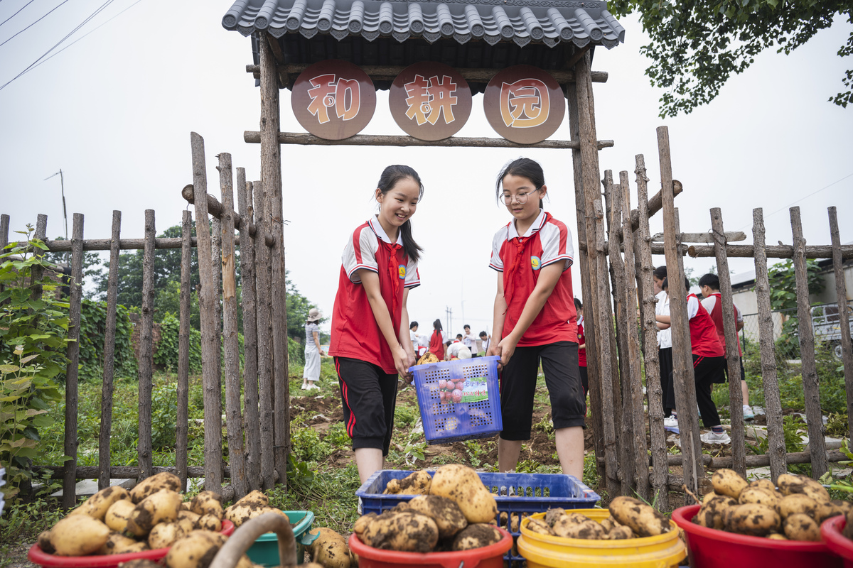 芦如何增强劳动观念荻是一种生长在湖泊、河流、沼泽等潮湿环境中的多年生草本植物。芦荻的茎高大而粗壮呈灰绿色叶子宽而长尖端尖细穗花大而密集。芦荻的根系很发达能够有效地吸收水分和养分被广泛用于污水处理、建筑材料、编织制品、燃料等方面。同时芦荻还是一种美丽的景观植物常被用于园林、公园、景区等场所的绿化美化。如何增强劳动意识以下是一些增强劳动观念的方法：1 增加对工作的重视：要认识到工作对于个人、家庭和社会