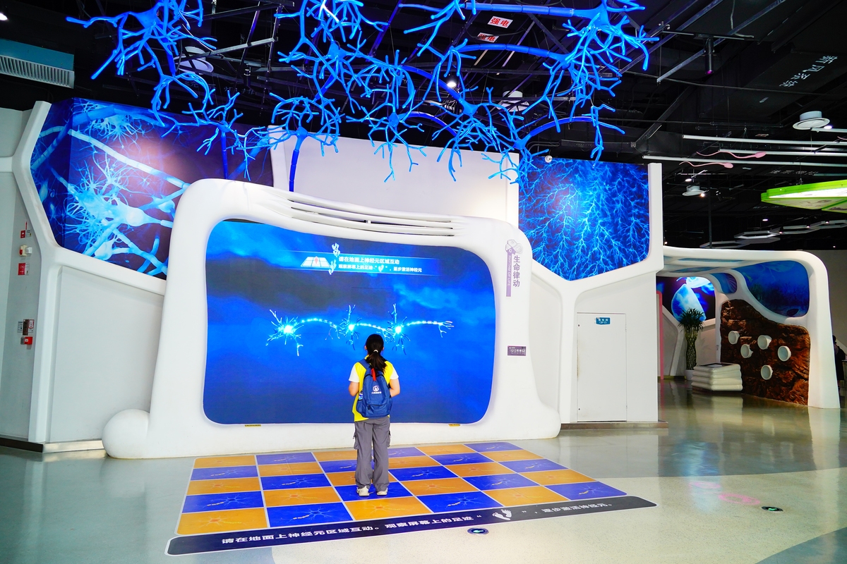 数字化展示技术：将信息以数字形式呈现的未来趋势