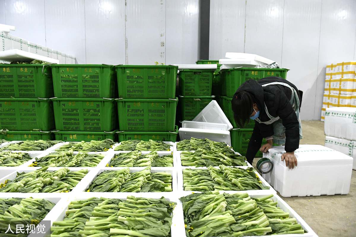 烘干机烘莴笋需要的时间及温度