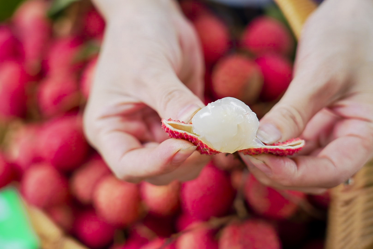 吃荔枝不可以喝酒吗