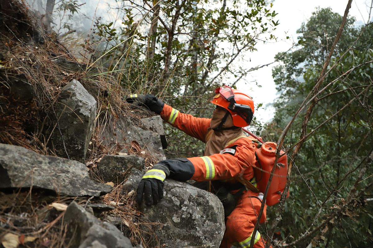 湖北森林消防可以调河南森林消防帮我用200字详细描述
