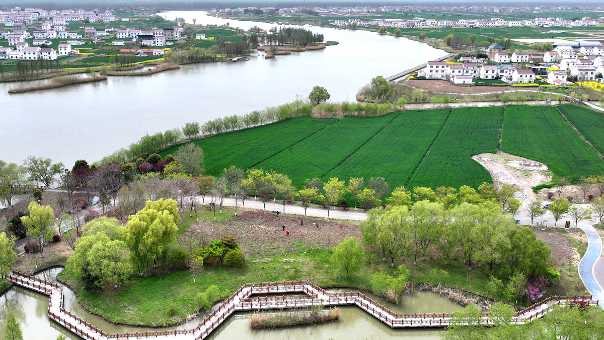 2026年4月12日,江苏省连云港市灌云县杨集镇潮河村,有