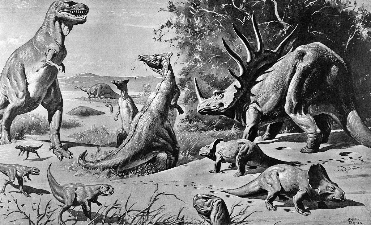 various dinosaurs & reptiles in the gobi desert extinct jurassic