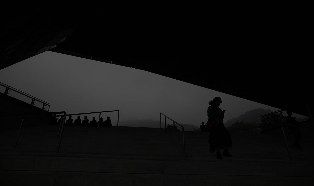 悲伤与孤独：一场触动心灵的旅程