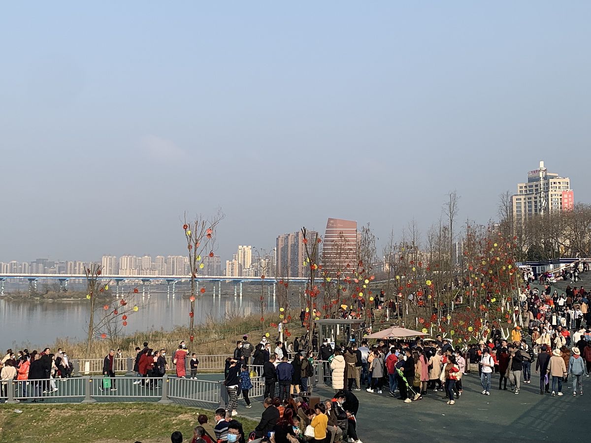 南充中专学校招生分数线解读：如何提高录取机会？