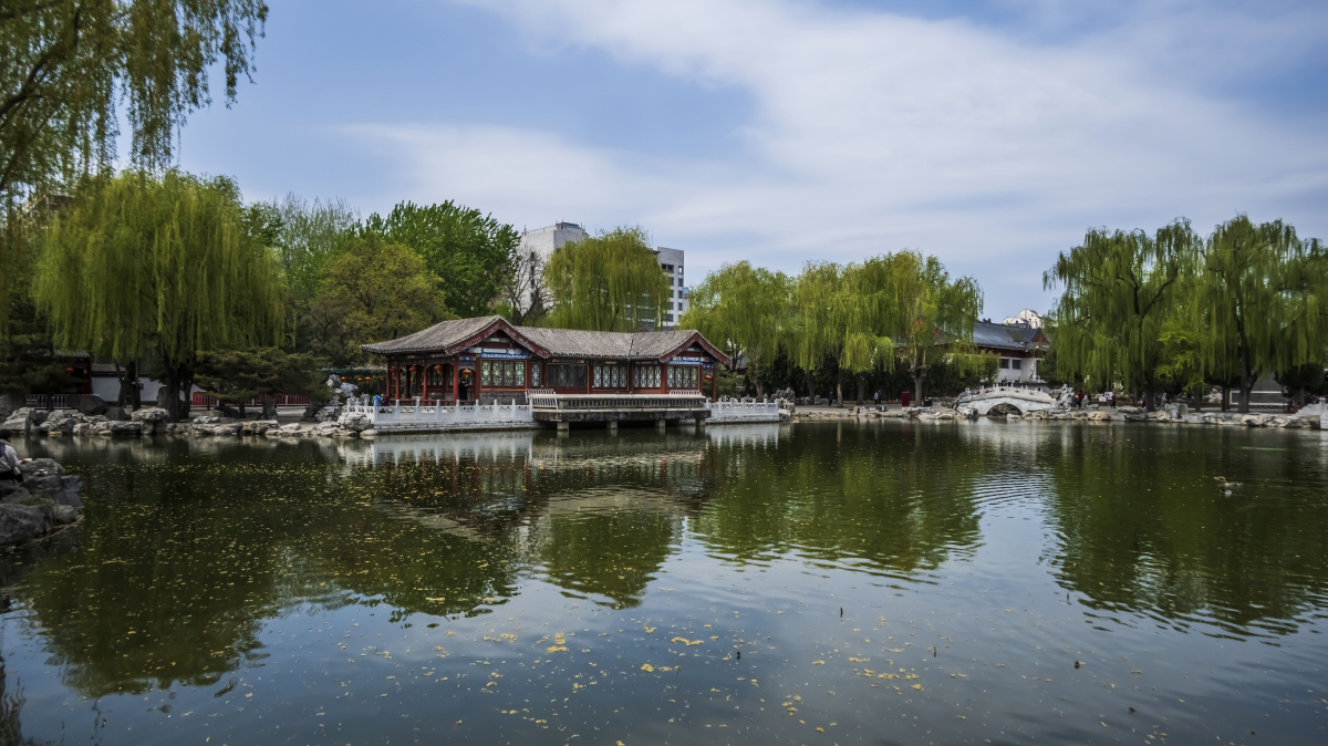 北京万寿公园,一听名字就让人感受到一种宁静与祥和的氛围