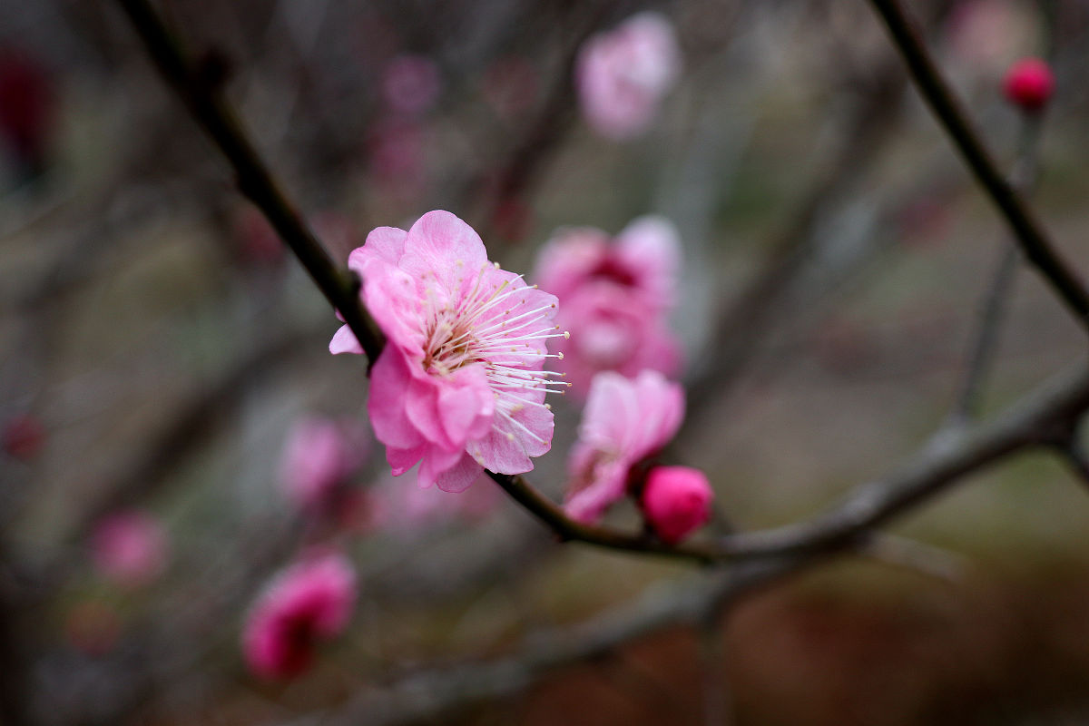 孝昌中等职业技术学校2023年招生简章-怎么样