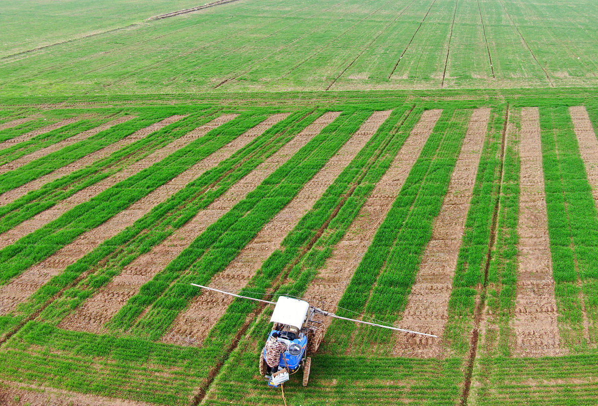 重庆农业机械化学校学前教育教学质量怎么样