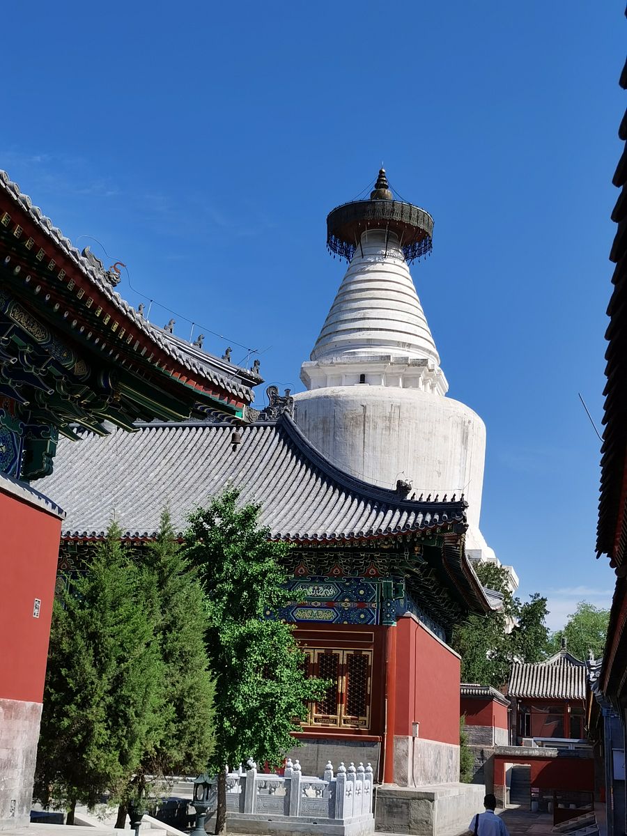 黑龙江农业职业技术学院单招有高铁乘务专业吗