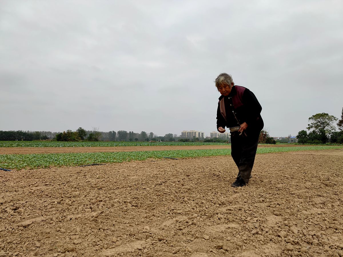 土地要素保障：合理利用、保护和管理的基石