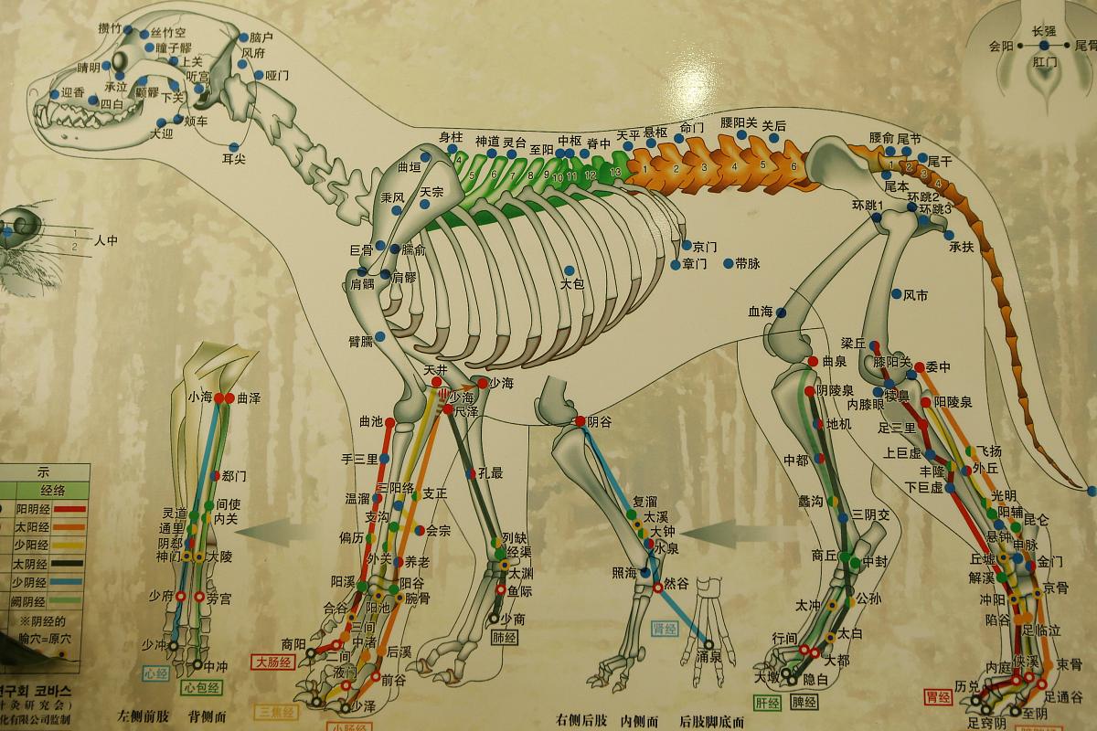 楚雄医药高等专科学校康复治疗技术专业怎么样