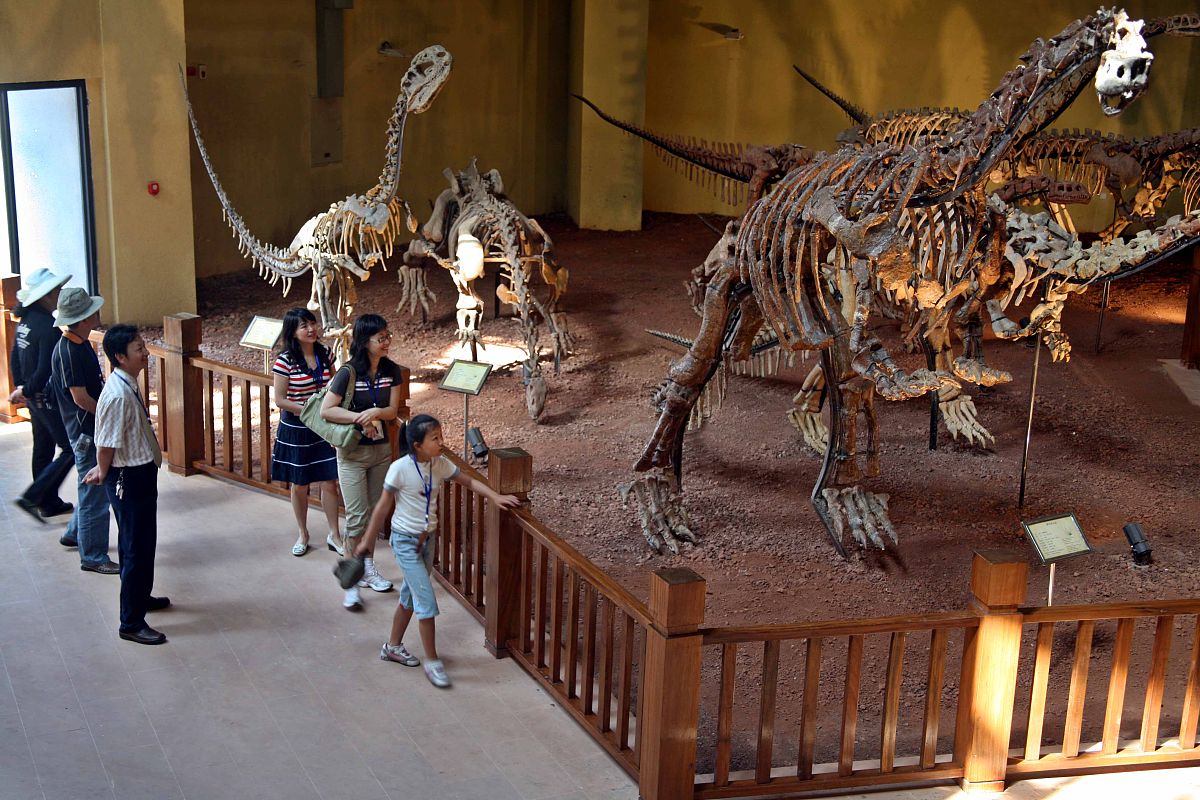 用感觉知觉说明禄丰世界恐龙谷的独特性