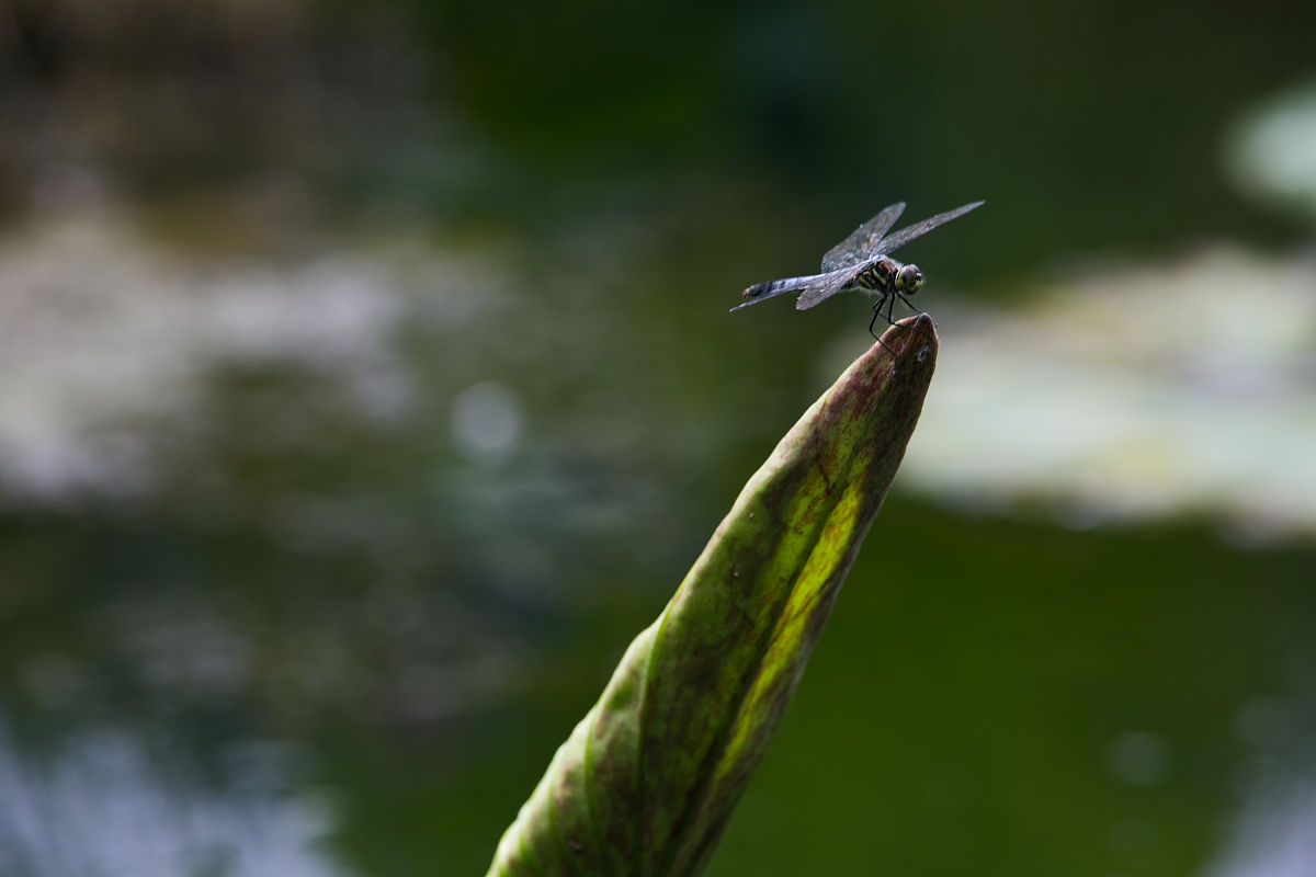毕节市财贸学校2019年招生专业之客户信息服务