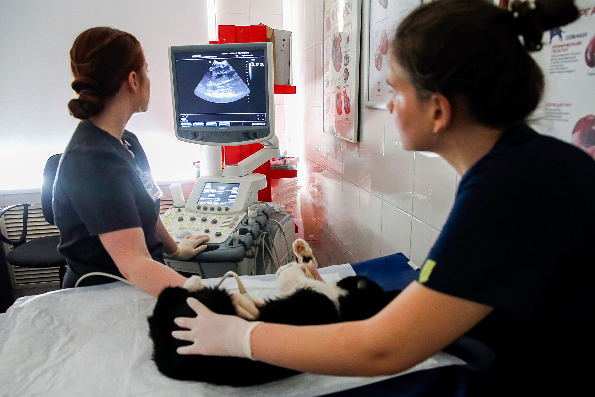 监理员实习报告：900字详细记录顶岗实习经验