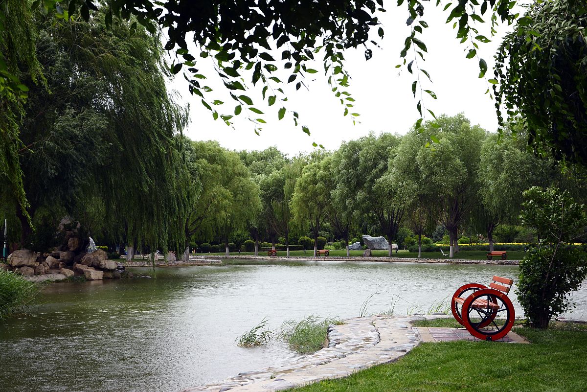 河西学院2019有哪些专业及什么专业好