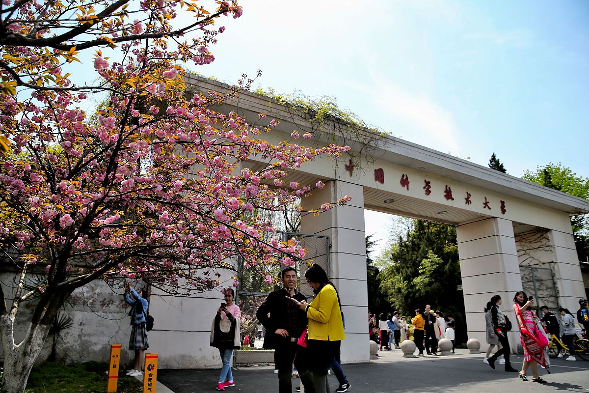 武汉有什么学校