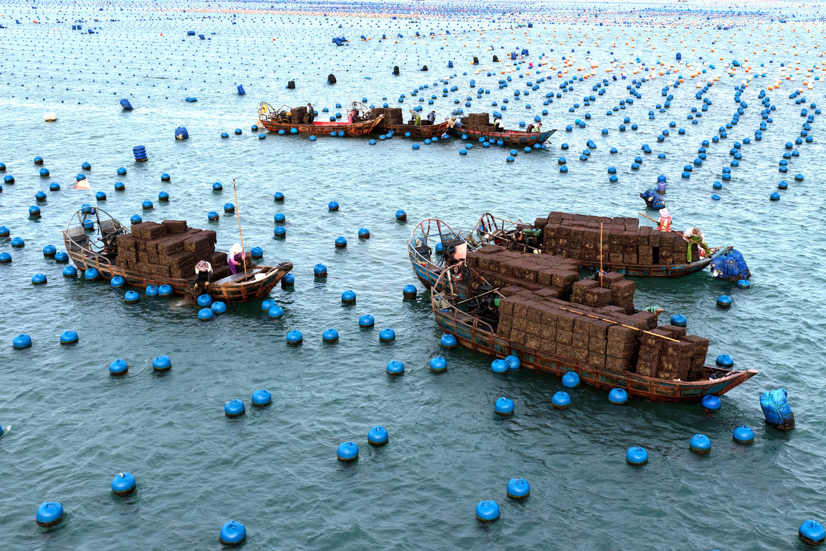 探索古渔乡水师营村的渔业文化之旅该主题的特色并预计一下该主题实施效果