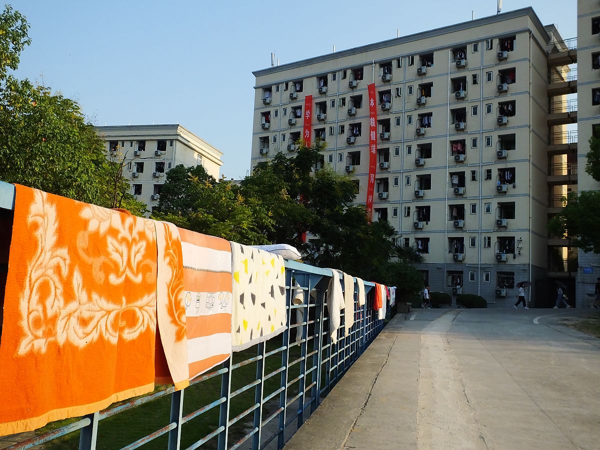 贵阳2023年读计算机学校能考大学吗？入学条件和提升建议