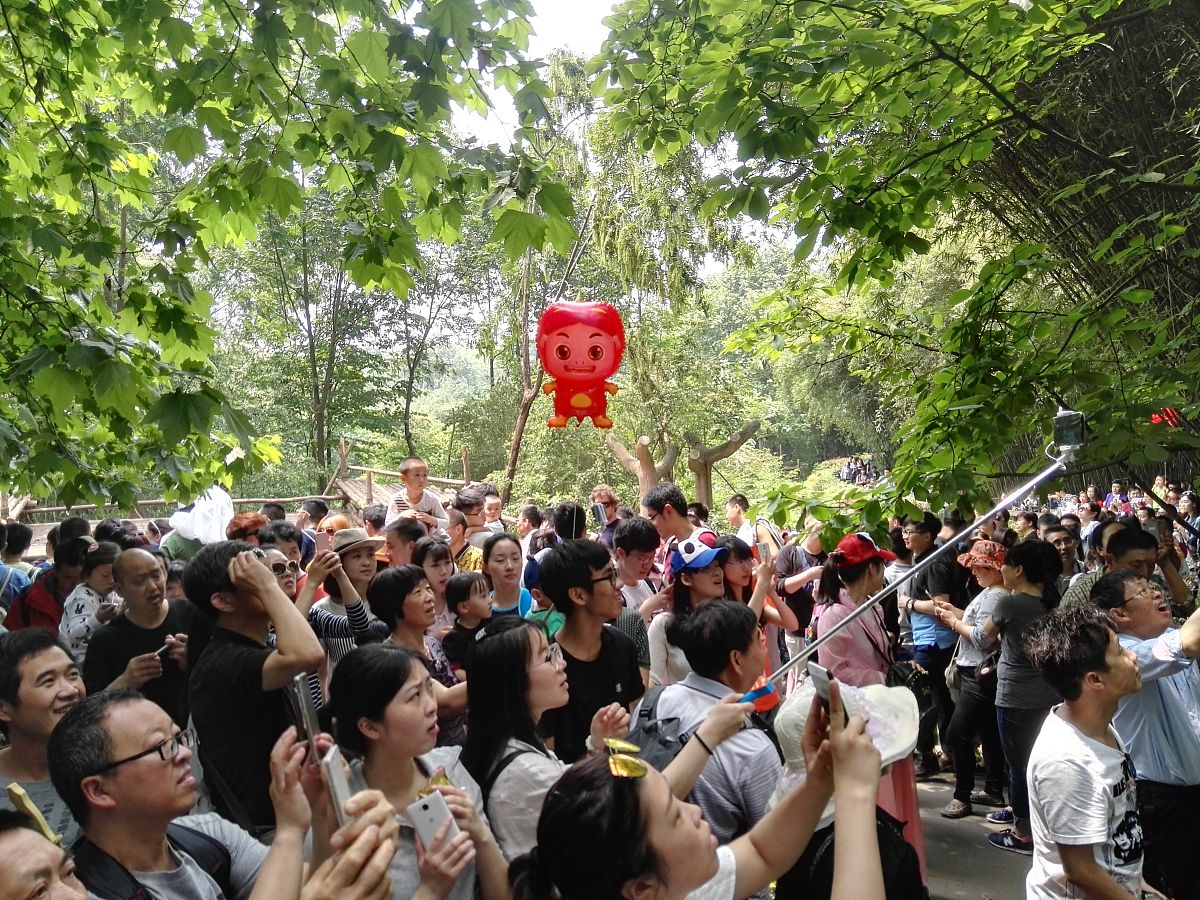 2020年四川省国家级示范中专名单：10所优秀学校