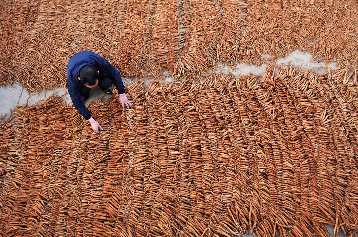 贵州省专科学校学习冶金技术专业就业前景分析