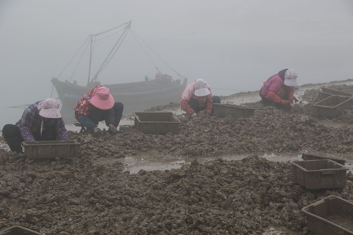 威海高级技工学校2019年招生专业：机械、电子、建筑、化工、汽车五大类