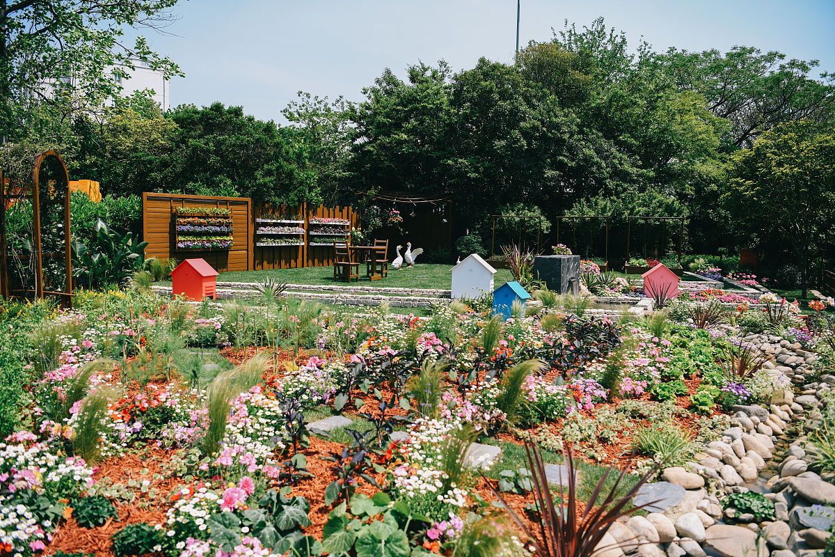 上海植物园游览感悟：自然的美丽与和谐