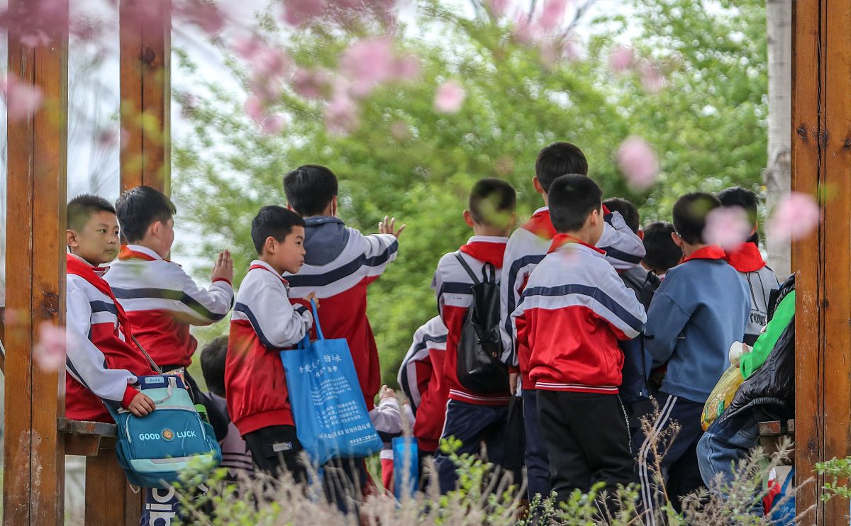综上所述在如今愈发注重中小学生全方面发展的背景下对于中小学生的园林文化教育还存在着诸多问题面临着许多发展阻碍基于这些问题的存在应立足多个方面开展分析和研究因地制宜的在各地学校开展相关措施。总之必须要思考园林文化如何融入中小学生的教育之中才能使中小学生的发展更为全面这离不开多种创新举措的实施离不开政府、学校和家长的关注更离不开长时间的努力。