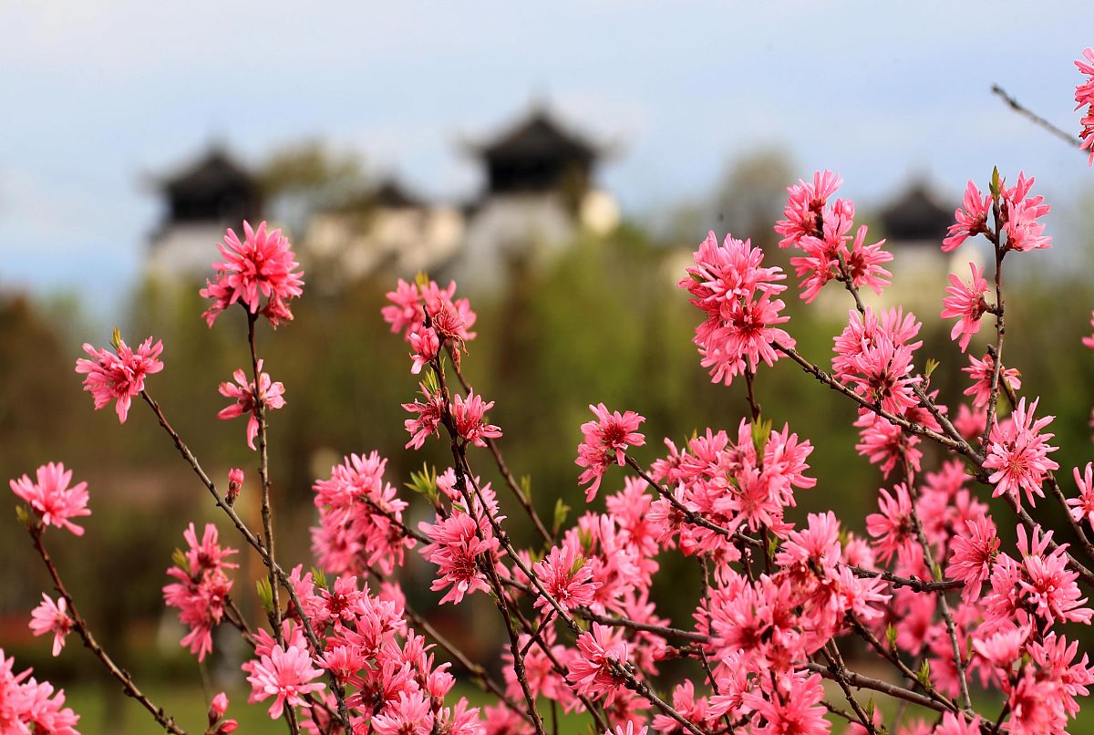 烟台经济学校3+4中职与本科分段培养介绍-好不好