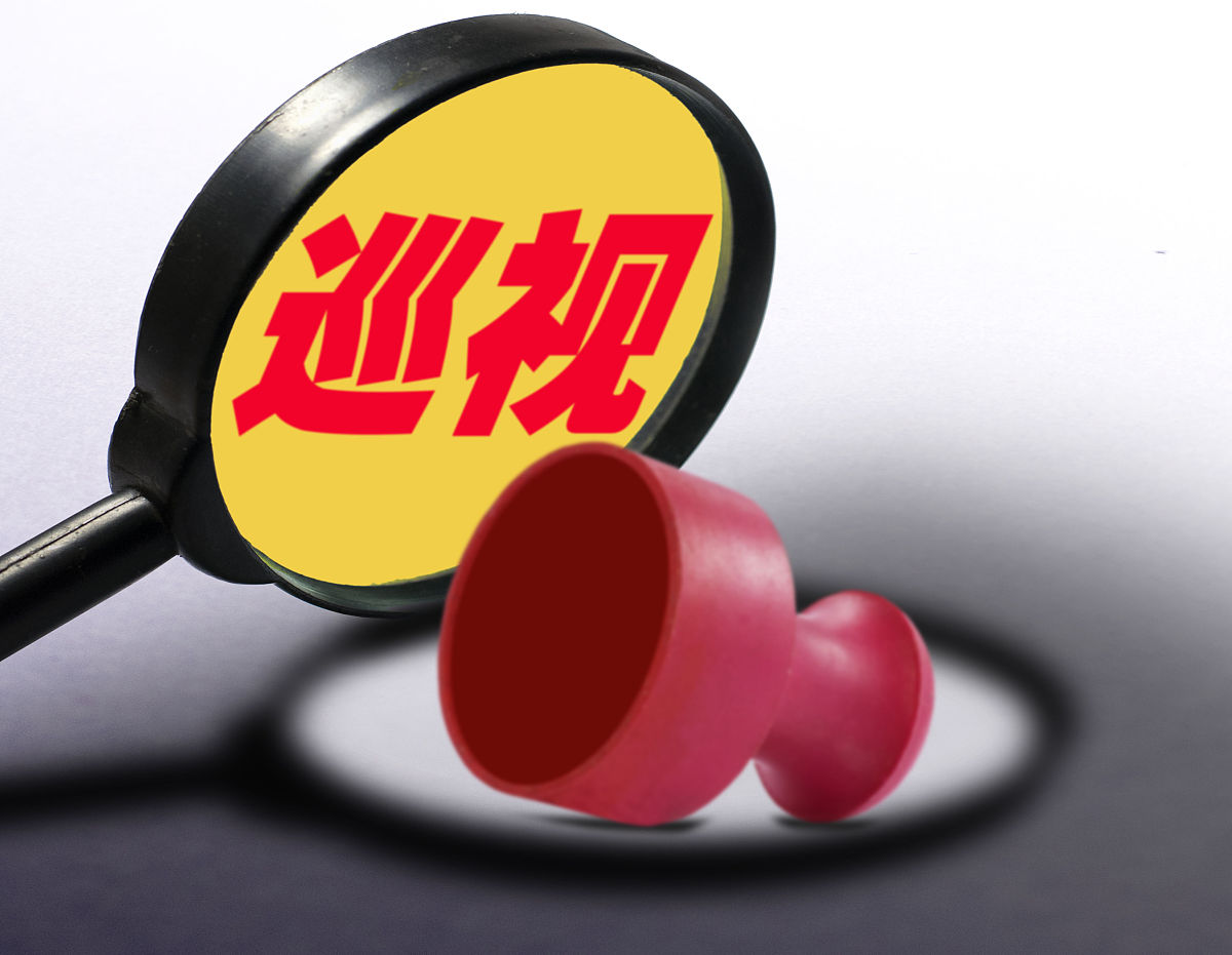 巡视问题整改措施：如何有效解决问题并推动发展
