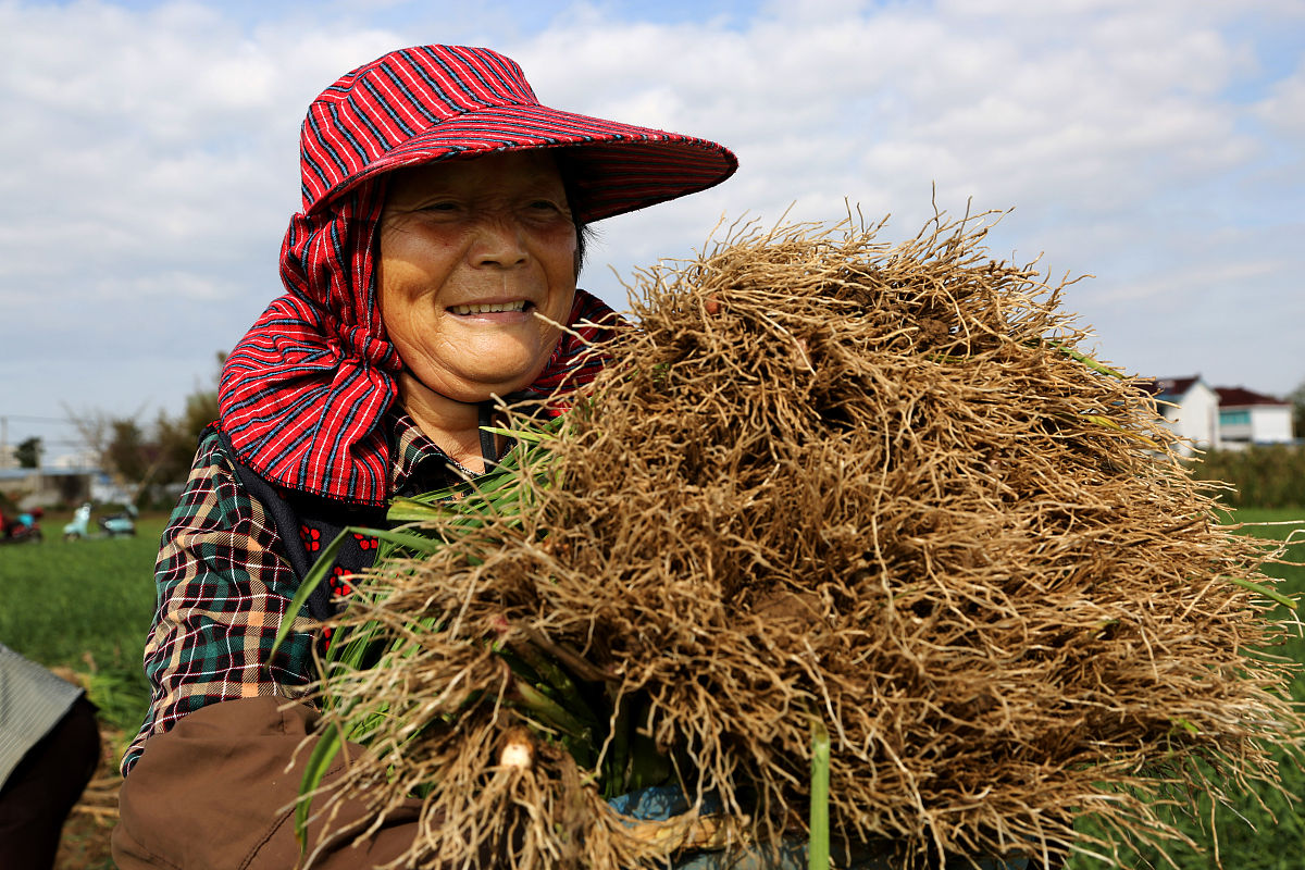 裕华社区的绿化项目起10个名字