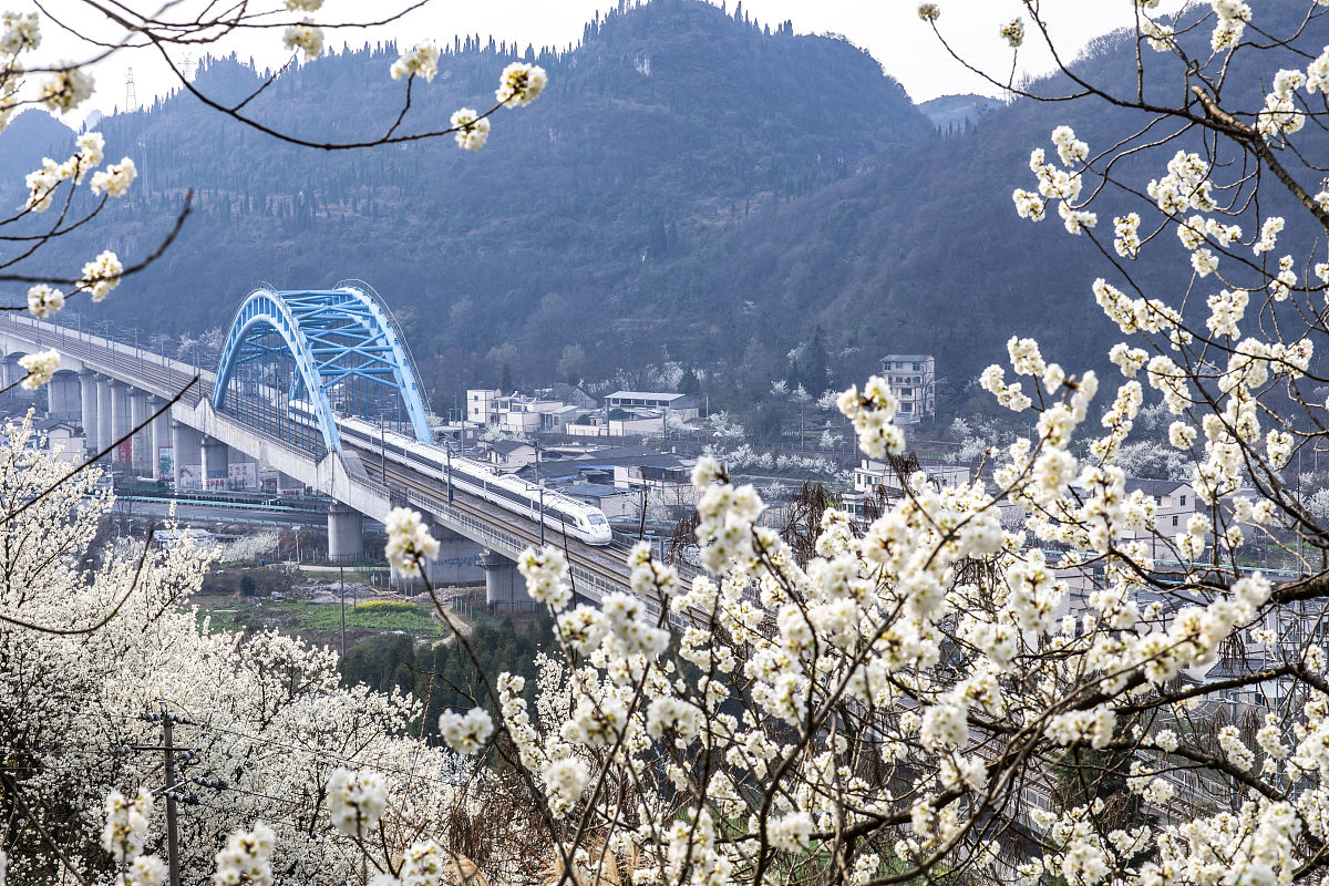 贵州铁路学校发展优势：人才培养、科研创新、国际交流