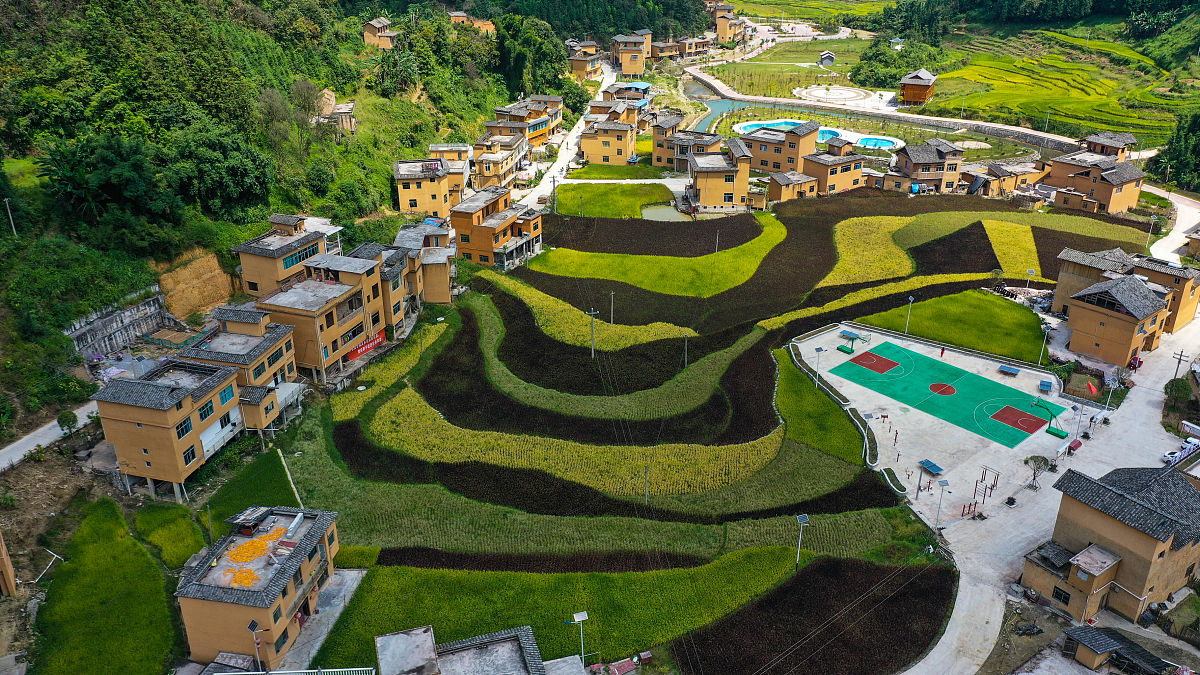 新改建农村卫生户厕管护制度：改善农村卫生环境，提升居民健康水平