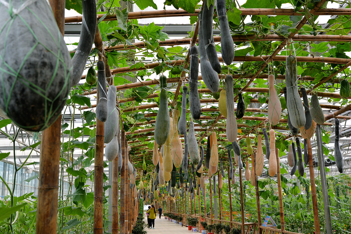 营口市农业工程学校2022年就业前景分析_就业方向及形势