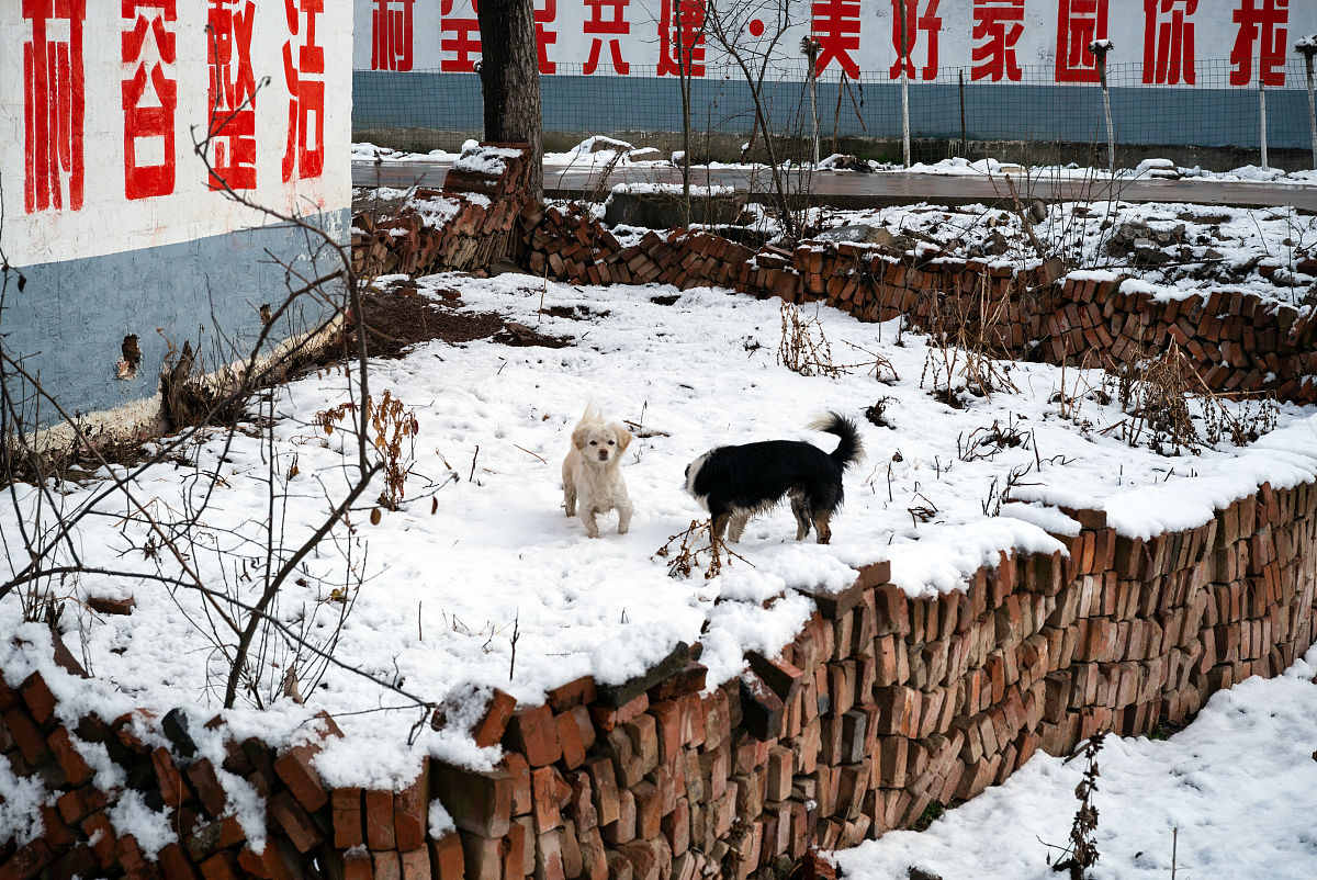 南阳经济贸易学校2022年专业设置：多元化选择，成就未来