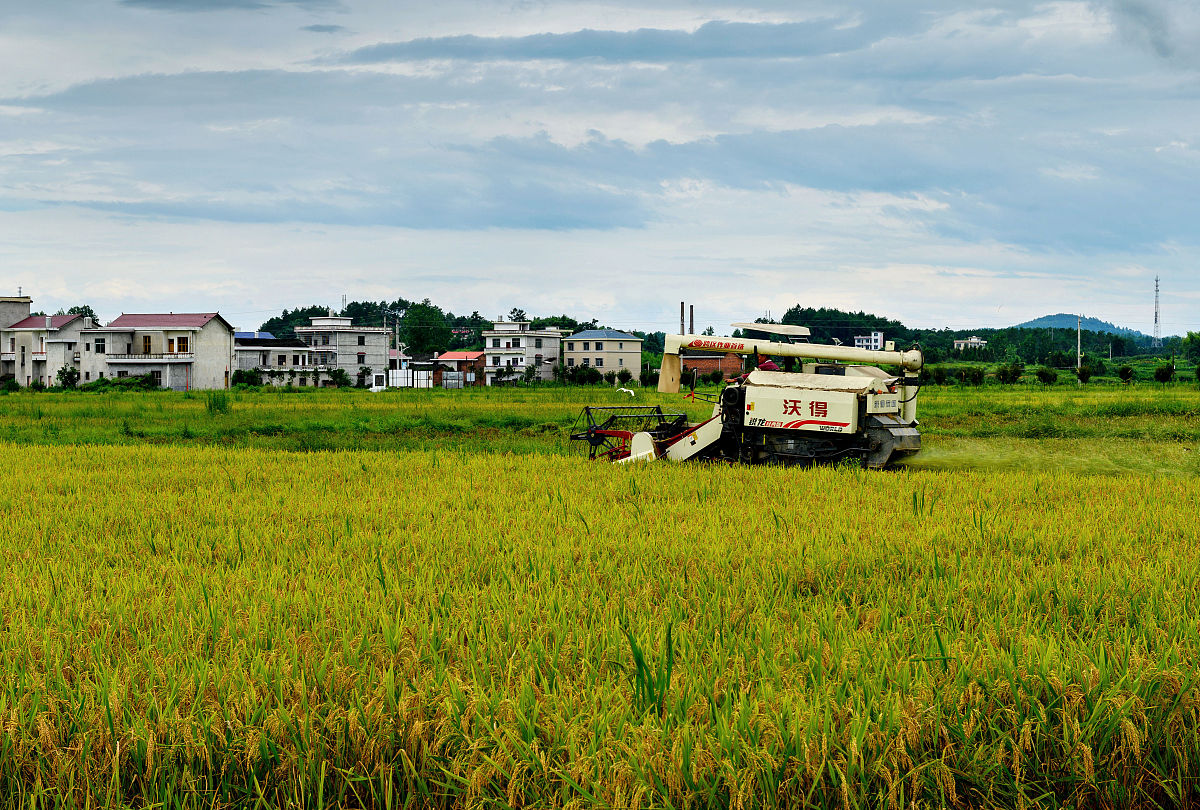 请分三层给论文《乡村振兴战略背景下河北省农业经济发展研究》写一个三级目录