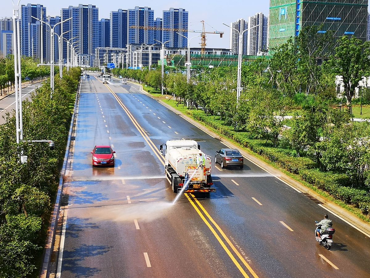 S301线路域环境整治方案：改善交通安全与环境卫生