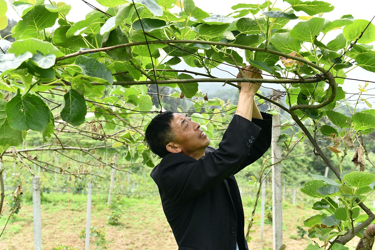 遵义卫生学校2021年招生简章