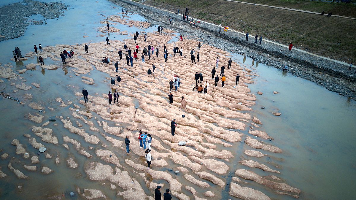 小学数学圆的面积微项目教学设计：理论与实践