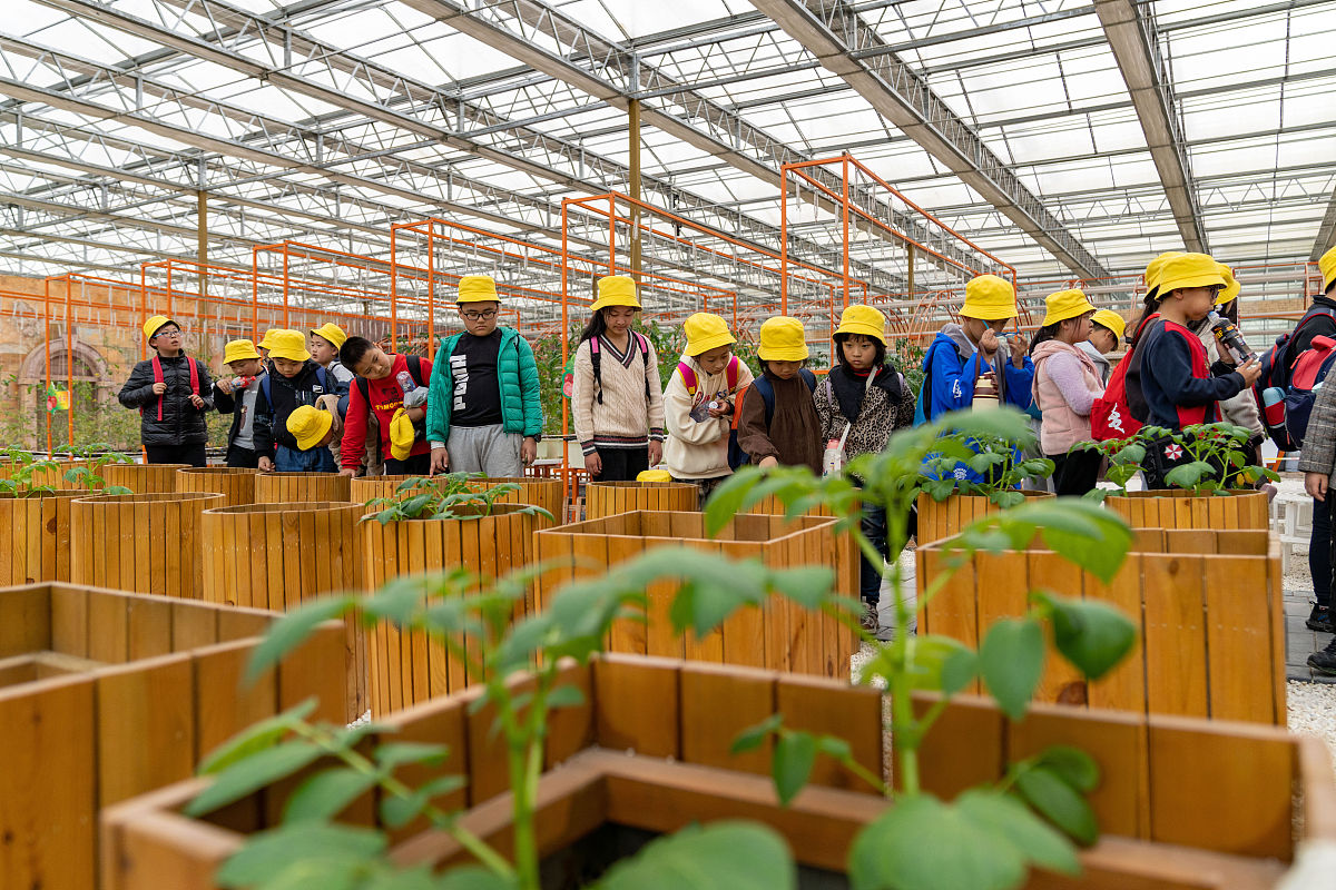 给我写江南水乡项目式学习地理研学优势