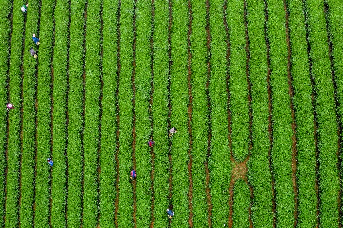 江苏某殡葬服务公司发展方向及能力提升调研报告
