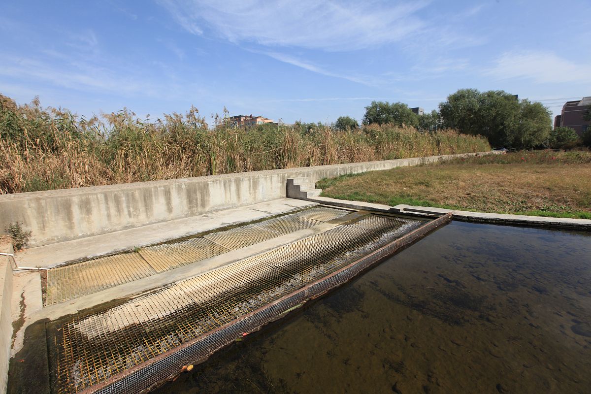 人工湿地技术处理酸性矿山废水：原理、优势和局限性