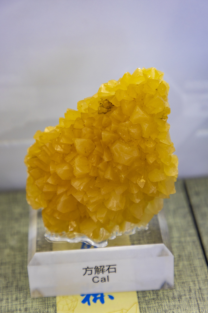 蜡的价格？ 蜡包含哪几种？石蜡哪几种？从这三个方面回答：必要性、可行性、真实性