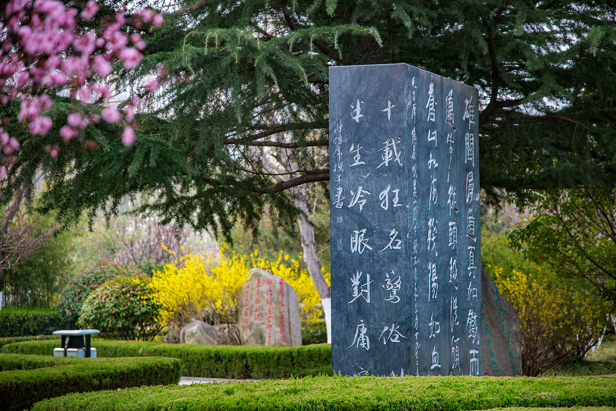 2022年3月23日,春日里的山东临沂书法广场,鸟语花香,生机盎然.